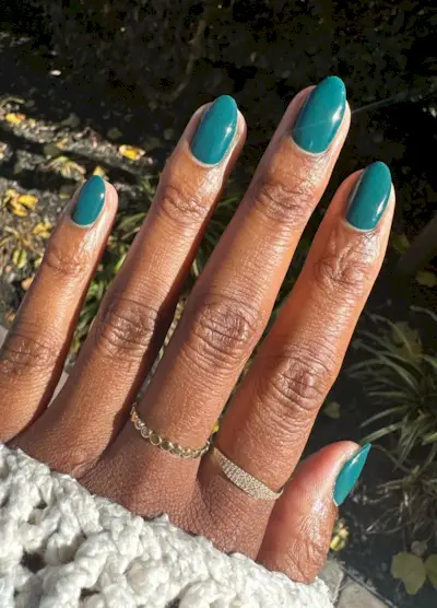 couleurs d'ongles d'hiver