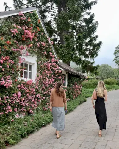 romantizuoti savo gyvenimą pavasariui