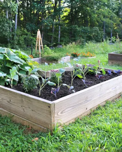 Coses gratuïtes per fer aquest estiu