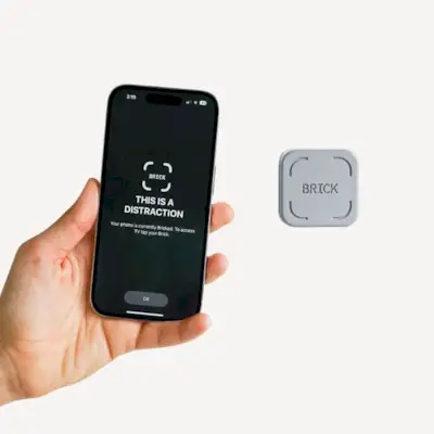 Visi kalba apie plytą – štai kaip ji padeda žmonėms susitelkti