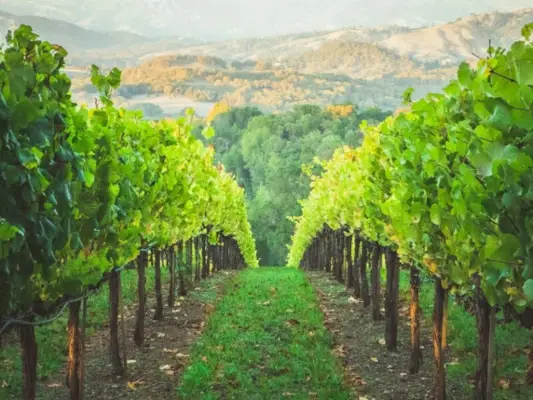 llocs dels Estats Units que semblen Europa